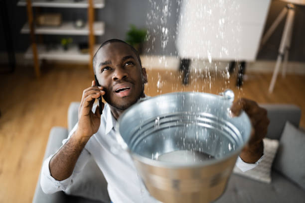 Best Flooded house restoration  in Wardsville, MO