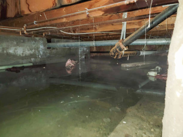 Water damage restoration experts in MO