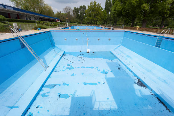 Best Mold removal after water damage  in Wardsville, MO