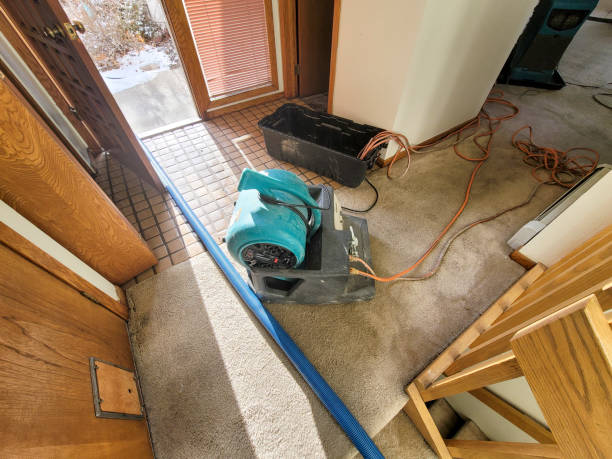 Best Emergency water damage restoration  in Wardsville, MO