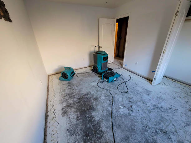 Best Flood damage cleanup  in Wardsville, MO