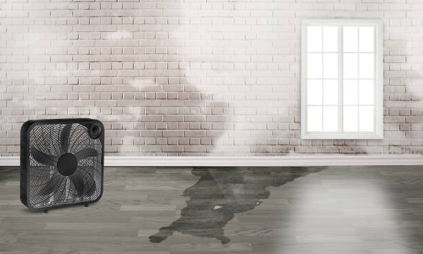 Trusted MO Water damage restoration Experts