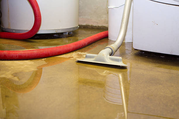 Best 24/7 water damage repair  in Wardsville, MO
