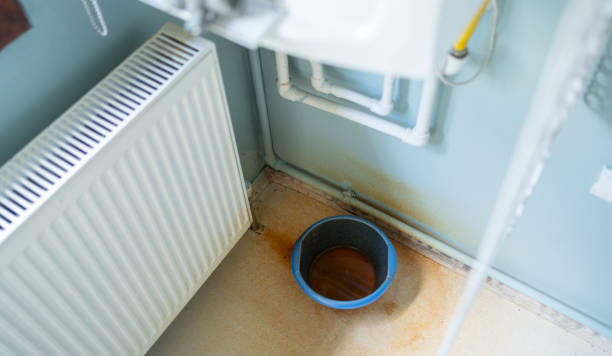 Best Professional water damage repair  in Wardsville, MO